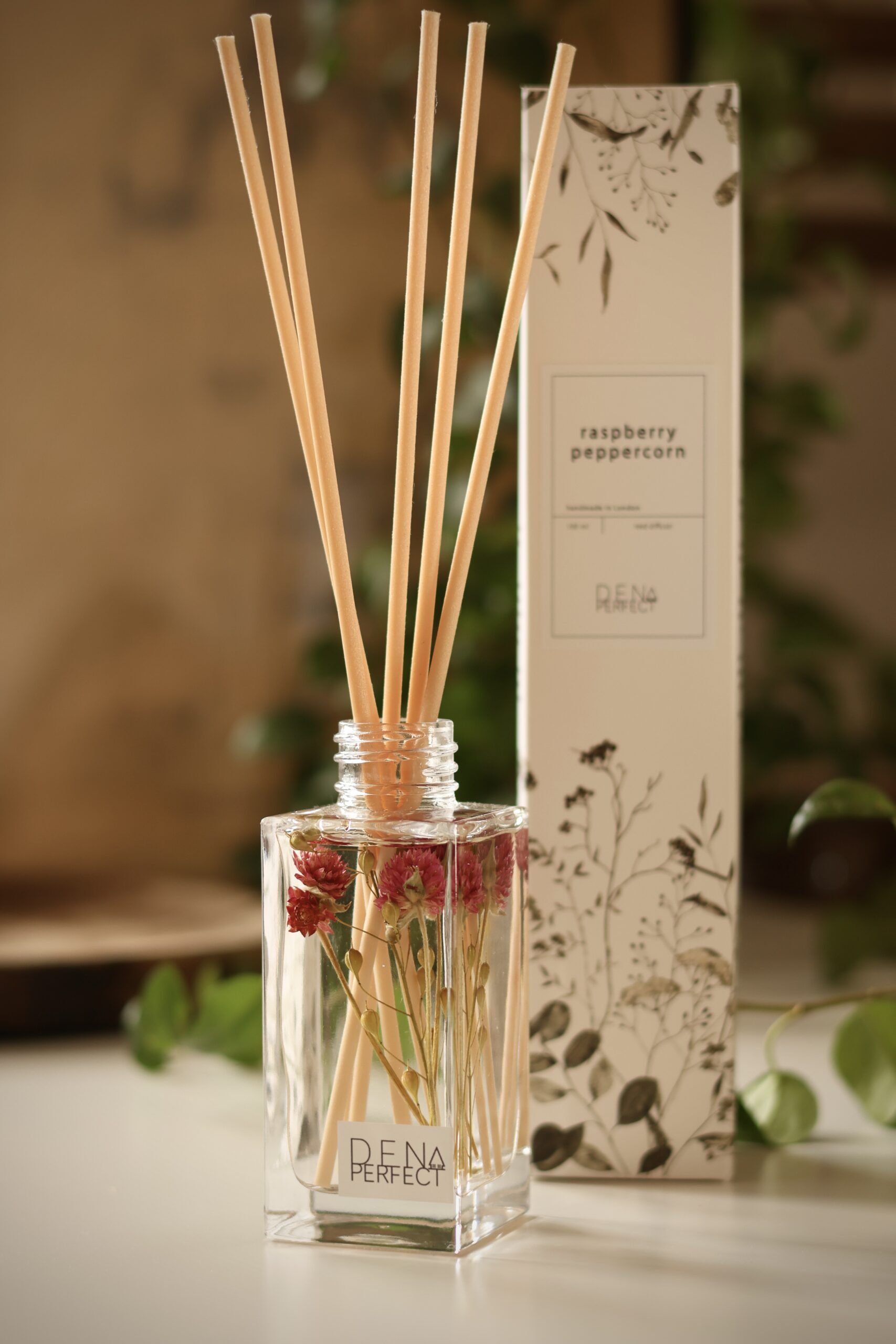 Raspberry Peppercorn Reed Diffuser Natural Home Fragrance Gift for Her Summer Home Decor Bookshelf Decor Self Care Gift Box Aroma Diffuser